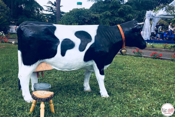 Festa della mamma 2018